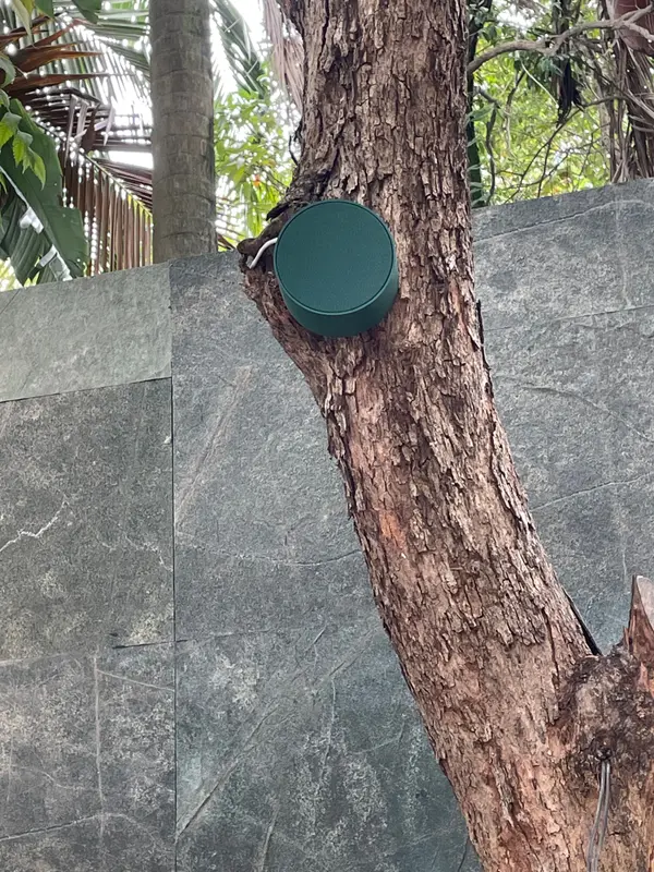 Caixa acústica redonda verde fixada em tronco de árvore, diante de parede de pedra, na Mostra Magna Audio.